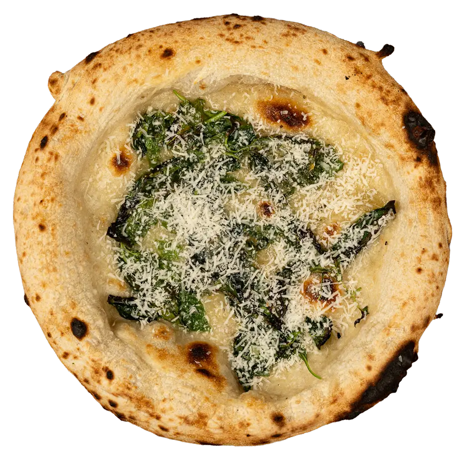 Піца Мастунікола for one